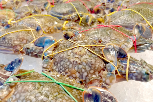 【通关监管】进境食用水生动物监管场地——建设规范早知道