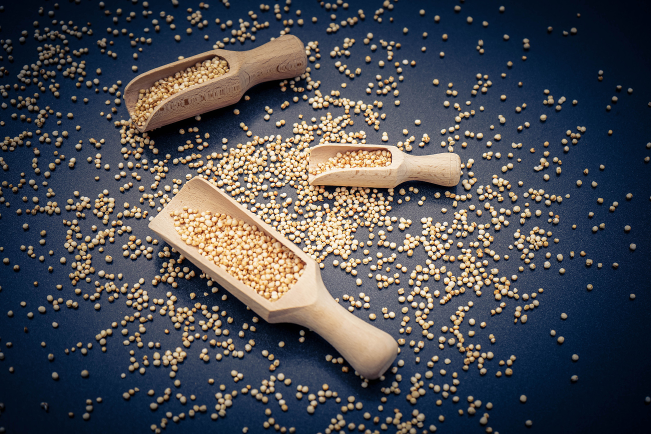 出口食品生产企业、原料种植场备案指南